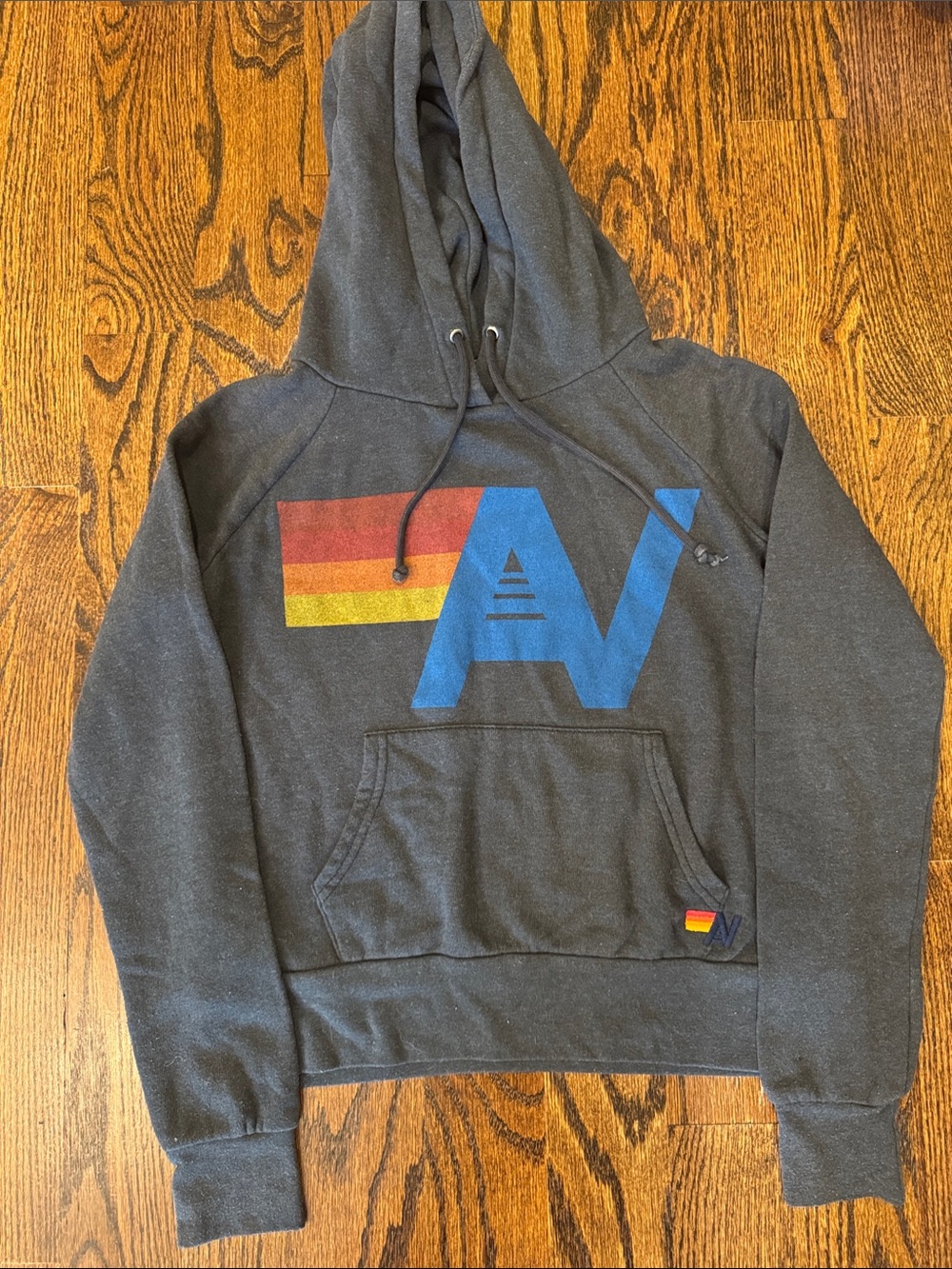 Aviator Nation Charcoal Gray Logo Hoodie Sweatshirt - Picture 1 of 7